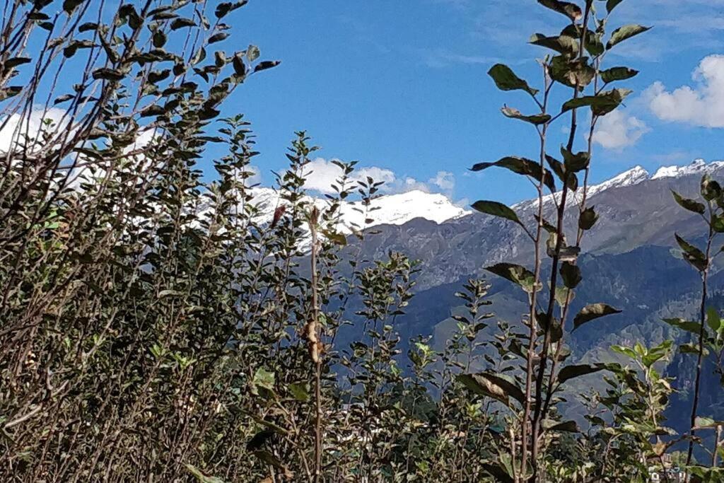 Aroma Taru Villa / Cottage ,Manali 외부 사진