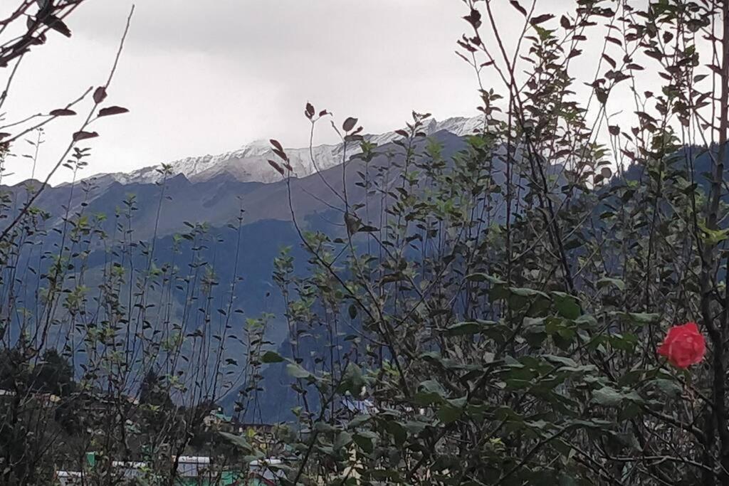 Aroma Taru Villa / Cottage ,Manali 외부 사진
